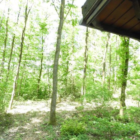 Вилла Chalet Louislola Oignies Экстерьер фото